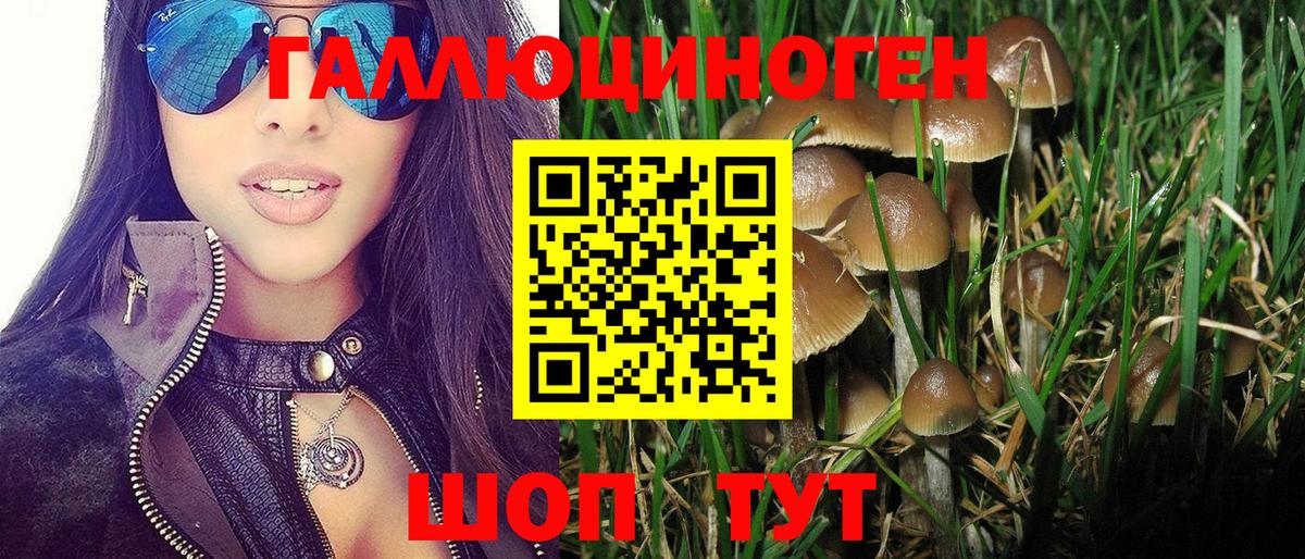 Галлюциногенные грибы Magic Shrooms  Псилоцибиновые грибы прущие грибы  Вход с VPN  Бахчисарай 