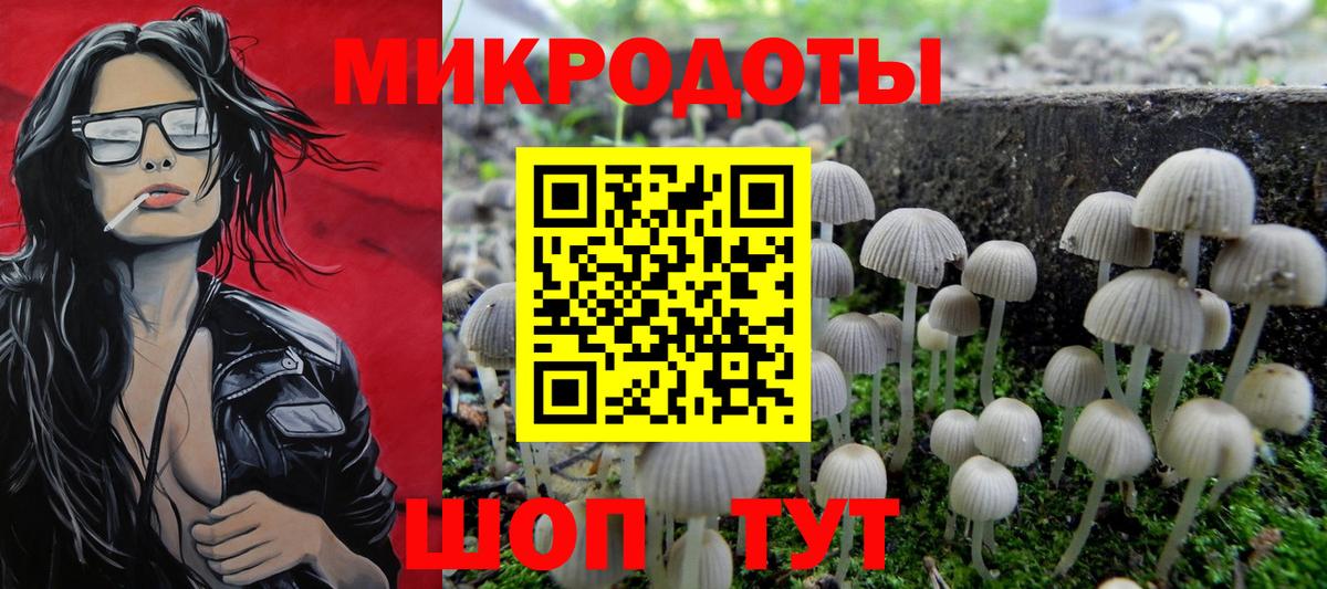 Псилоцибиновые грибы Cubensis Бахчисарай